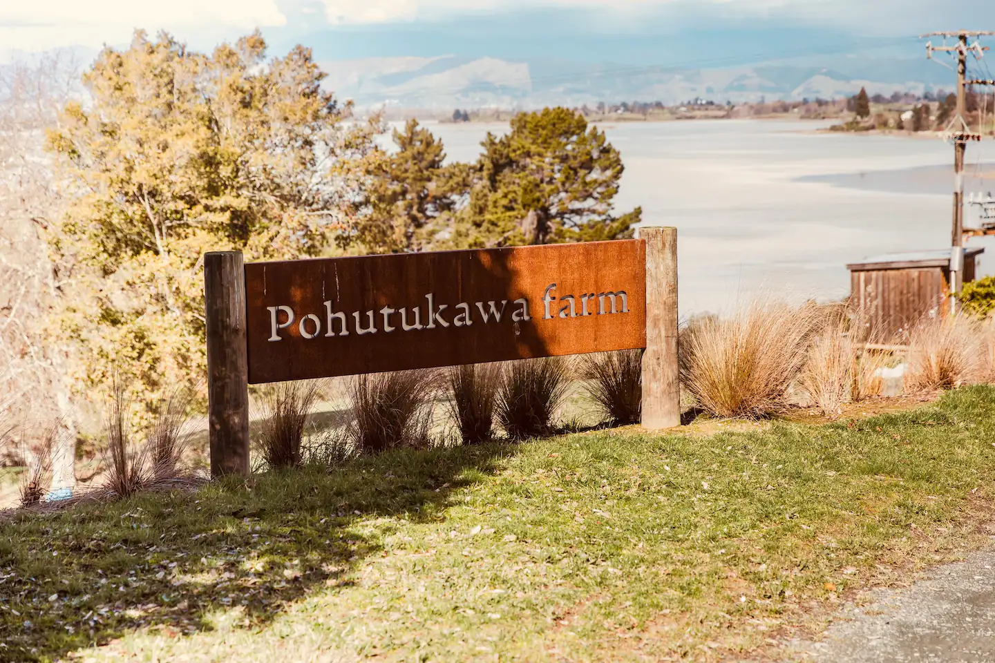 Pohutukawa Farm Driveway